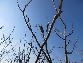 320-s-6.jpg