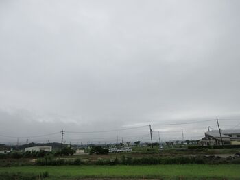 380-s-1.jpg