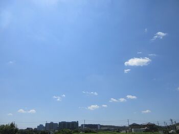 393-s-1.jpg
